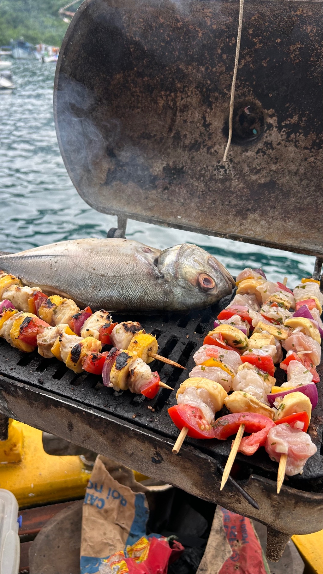 Peixe fresco e espetinhos na churrasqueira a bordo