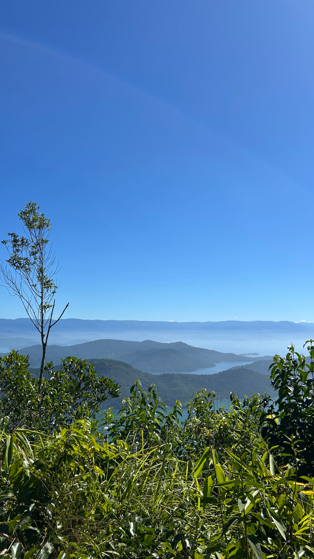 Mata atlântica e vista do mar na trilha do Mamanguá