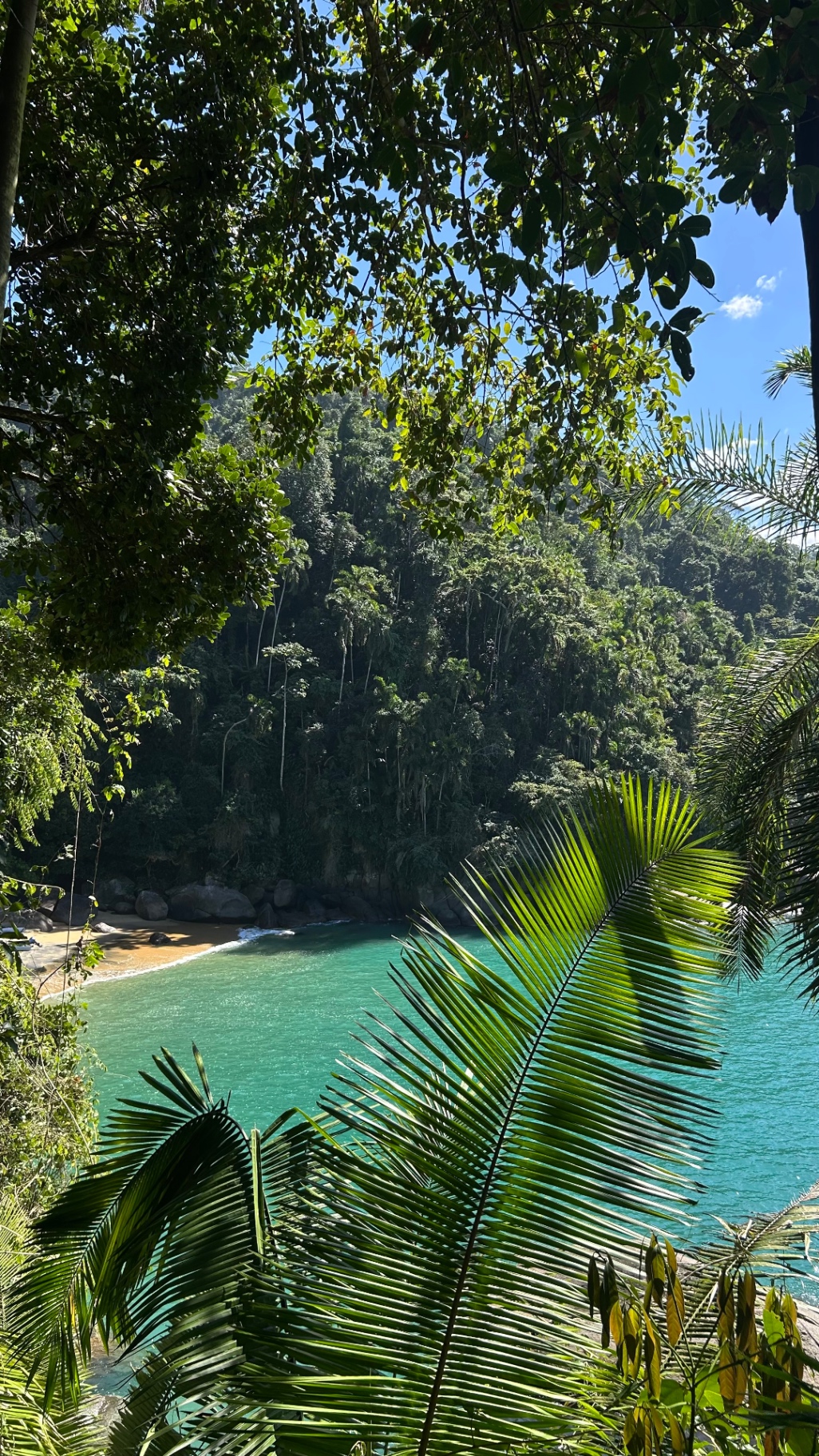 Praia escondida entre a mata atlântica e o mar turquesa