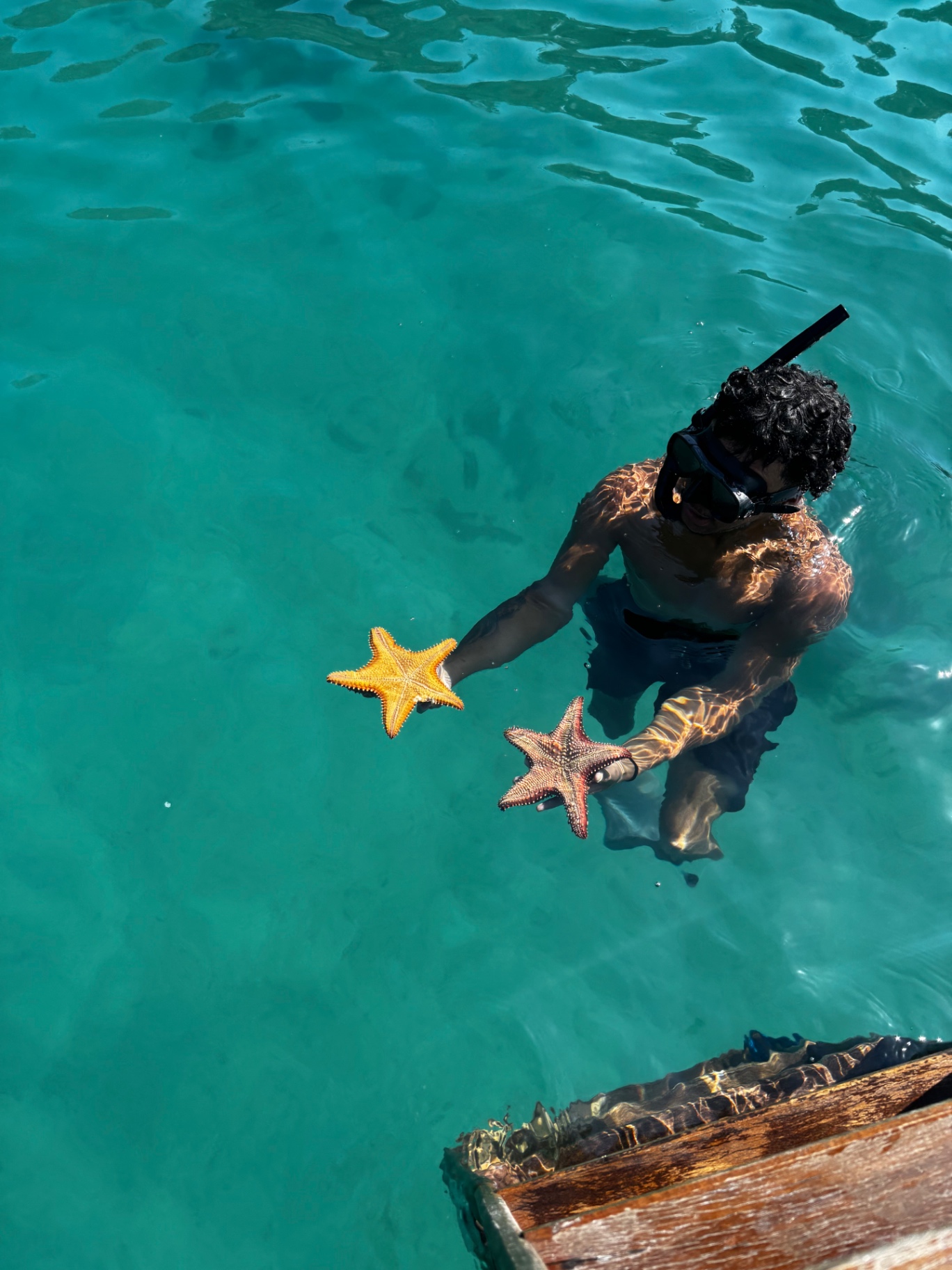 Mergulhador segurando duas estrelas-do-mar em água cristalina