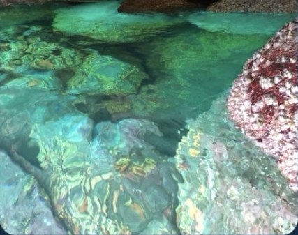 Ilha dos Cocos, no lado sul de Paraty